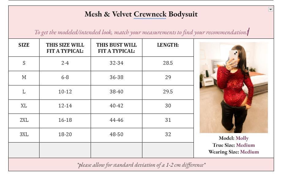 Velvet & Mesh Bodysuit